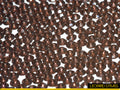 Amethyst : Classico Sew-On Rhinestone