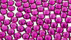 Fuchsia : Classico