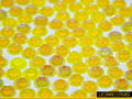 Neon Yellow AB : Classico
