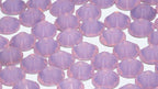 Opal Pink : Classico