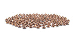 Rose Gold : Classico